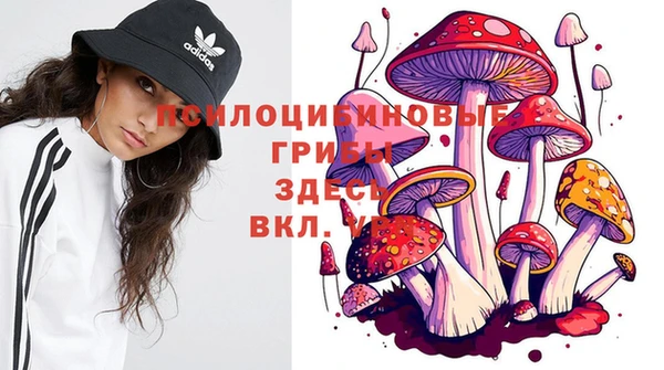 бутират Алексин