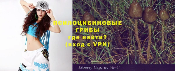 не бодяженный Абаза